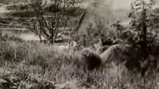 World War II_ Snipers - Full Documentary