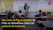 Isère : pour éviter une fermeture de classe, 15 moutons inscrits à l'école