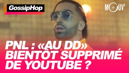 PNL : "Au DD" bientôt supprimé de YouTube ?