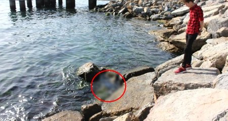 Salacak Sahilinde Erkek Cesedi Bulundu