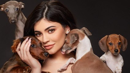 Celebs and Their Pets