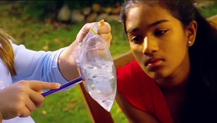 Backyard Science   S2E14   Pierce a water bag without a drop