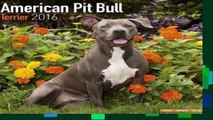 Any Format For Kindle  AMERICAN PIT BULL TERRIER 2016 Wall Calendar by Avonside Publishing