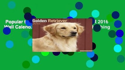 Popular to Favorit  GOLDEN RETRIEVER 2016 Wall Calendar (Square) by Avonside Publishing