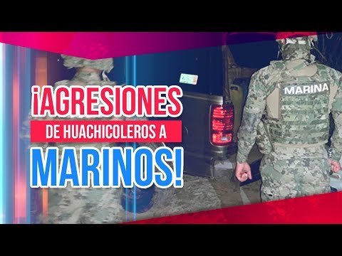 Enfrentamiento entre marinos y huachicoleros deja un muerto Xicotepec | Noticias con Francisco Zea