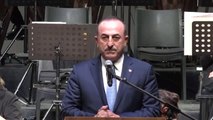Çavuşoğlu: 
