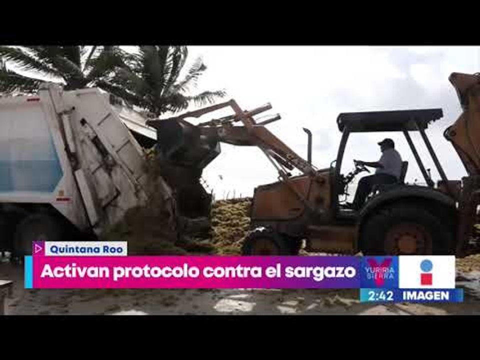 Activan protocolo contra el sargazo en Quintana Roo | Noticias con Yuriria Sierra