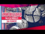 ¡Ecocidio en la CDMX! Inmobiliaria tala sin permiso 54 árboles | Noticias con Yuriria Sierra