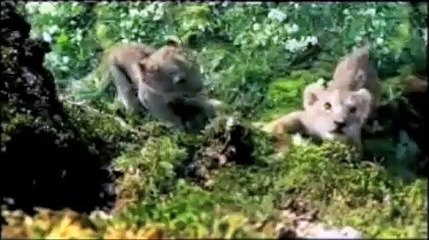 BEST BEER  PURE BLONDE!!