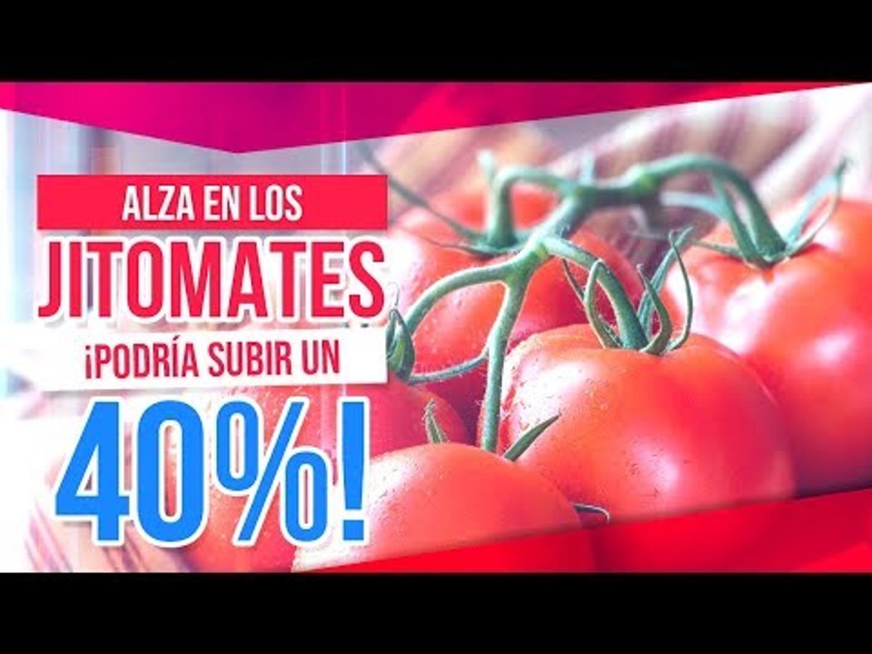 Subiría hasta 40% el precio del jitomate por aranceles | Noticias con Ciro Gómez Leyva