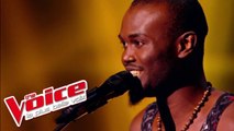 Stromae – Alors on danse | Alvy Zamé | The Voice France 2015 | Épreuve Ultime