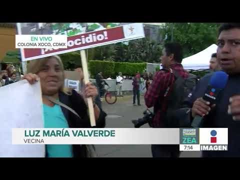 Repondrán árboles talados en la colonia Xoco por el proyecto de la Torre Mitikah | Francisco Zea