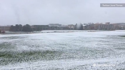 Colorado State main campus covered in snow