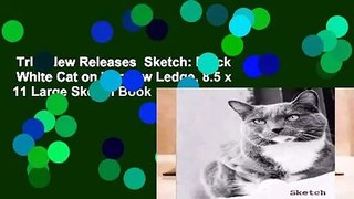 Trial New Releases  Sketch: Black   White Cat on Window Ledge, 8.5 x 11 Large Sketch Book