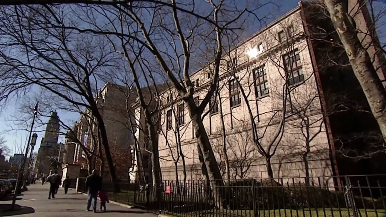 The Strange Case Of Peking Man (Evolution Documentary) | Timeline