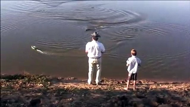 Quand un alligator vient croquer le bateau télécommandé d'un enfant...