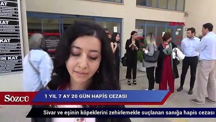 Download Video: Sunucu Sivar ve eşinin köpeklerini zehirlemekle suçlanan sanığa hapis cezası