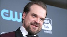 David Harbour will officiate a wedding, because there's nothing he won't do with enough RTs