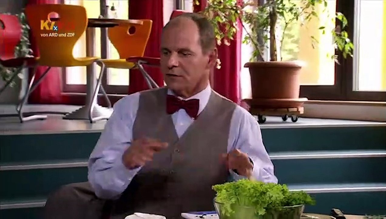 Schloss Einstein Folge 678 - 1