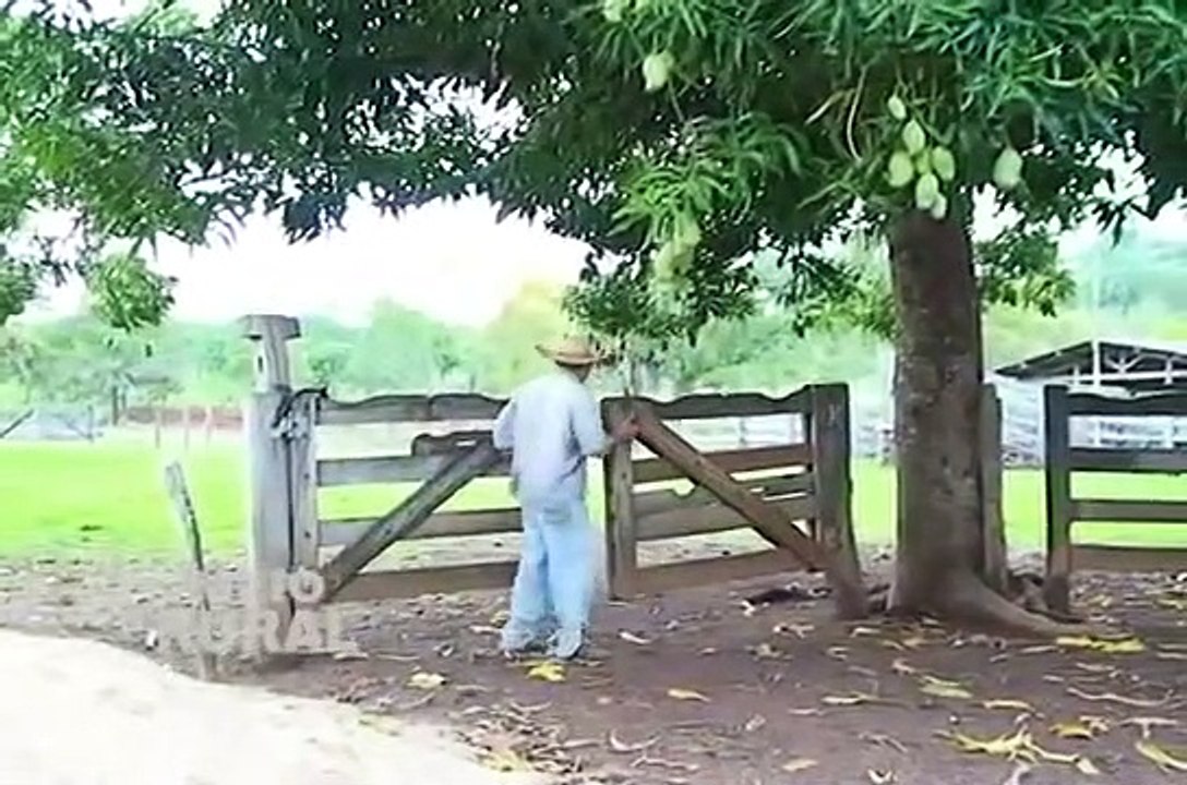 FURA OLHO SE DEU MAL