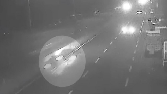 '시속 170km' 광란의 심야 질주...보험금도 '꿀꺽' / YTN