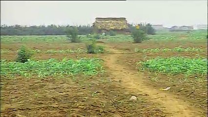 De Toc Nang Ngu Yen - Che Linh & Thanh Tuyen