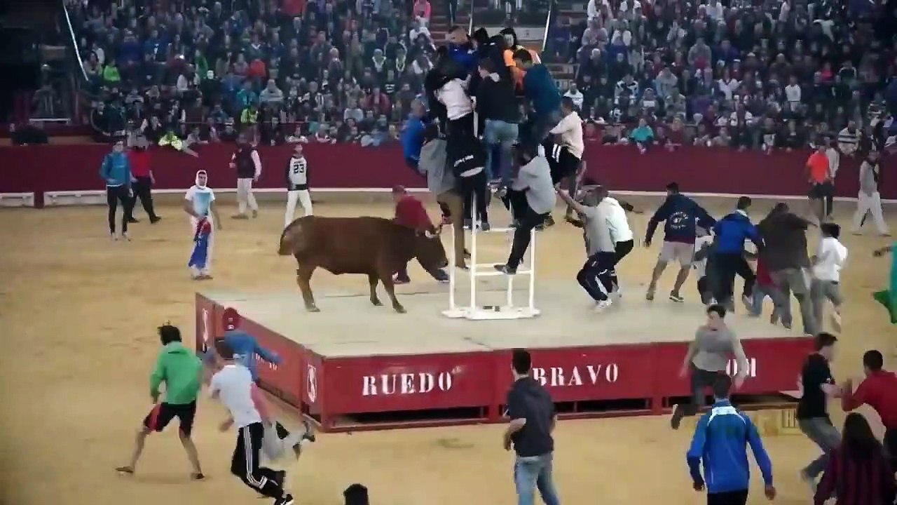 Dangerous Bull Fight Accidents Compilation 2019 Lucky and Funny People Fail Video Clips
