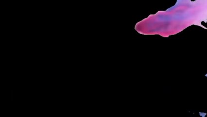 Who is Mahad Malik  | Biography of Mahad Malik  | Mahad Malik |