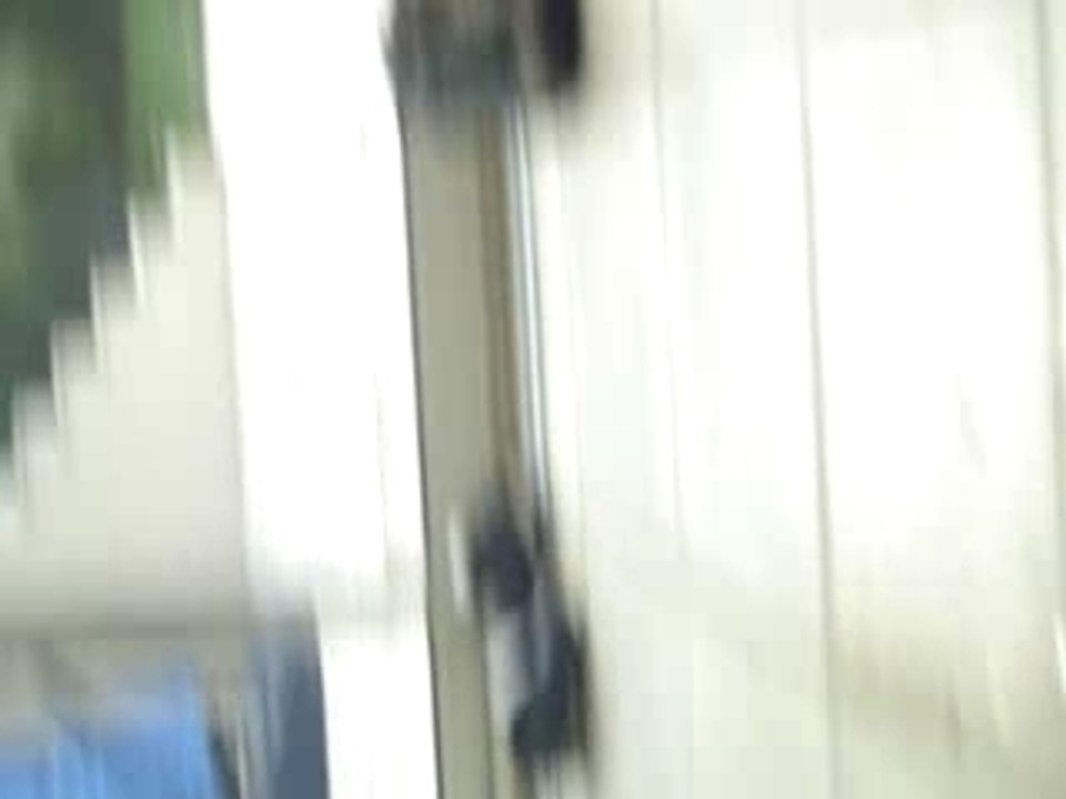 MOV02646