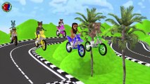 Animals Bike Racing Competition Out Door Game For kids || rabbit bear tiger lion elephant