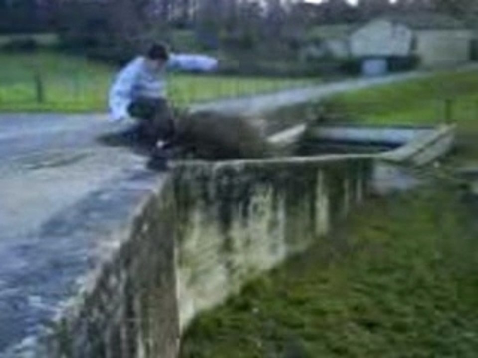 PARKOUR CHAMPNIER