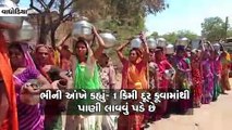 મહિલાઓએ ભીની આખે કહ્યું 1 કિમી દૂર કૂવામાંથી પાણી લાવવું પડે છે