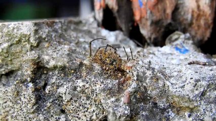 토토총판 바로가기 ▶  yong79。com 슈퍼카지노 ぺめ역할까지