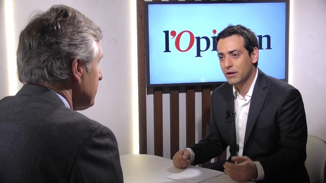 Européennes: Stéphane Séjourné estime «probable» une alliance LREM/Verts/PS/PPE pour former une majorité