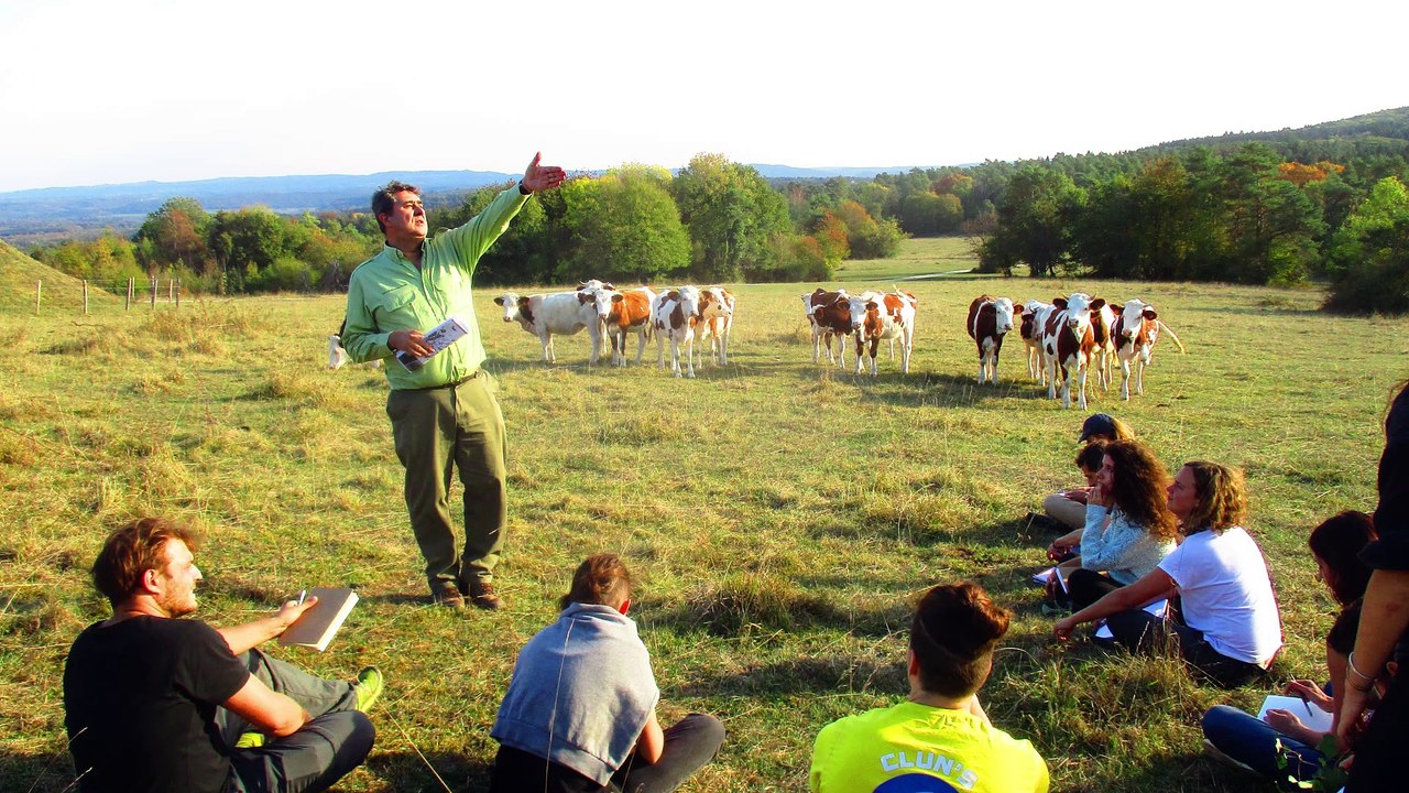 Témoignages des auditeurs du Mastère Spécialisé "Forêt, Nature, Société - Management International"