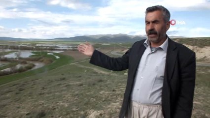 Şiddetli Yağış Nedeniyle Ekili Alanlar Sular Altında Kaldı