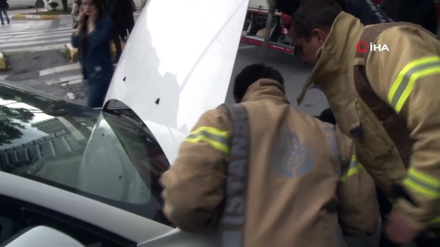 Araç motoruna sıkışan inatçı kediyi 'kedi sesi' ile kurtarma operasyonu
