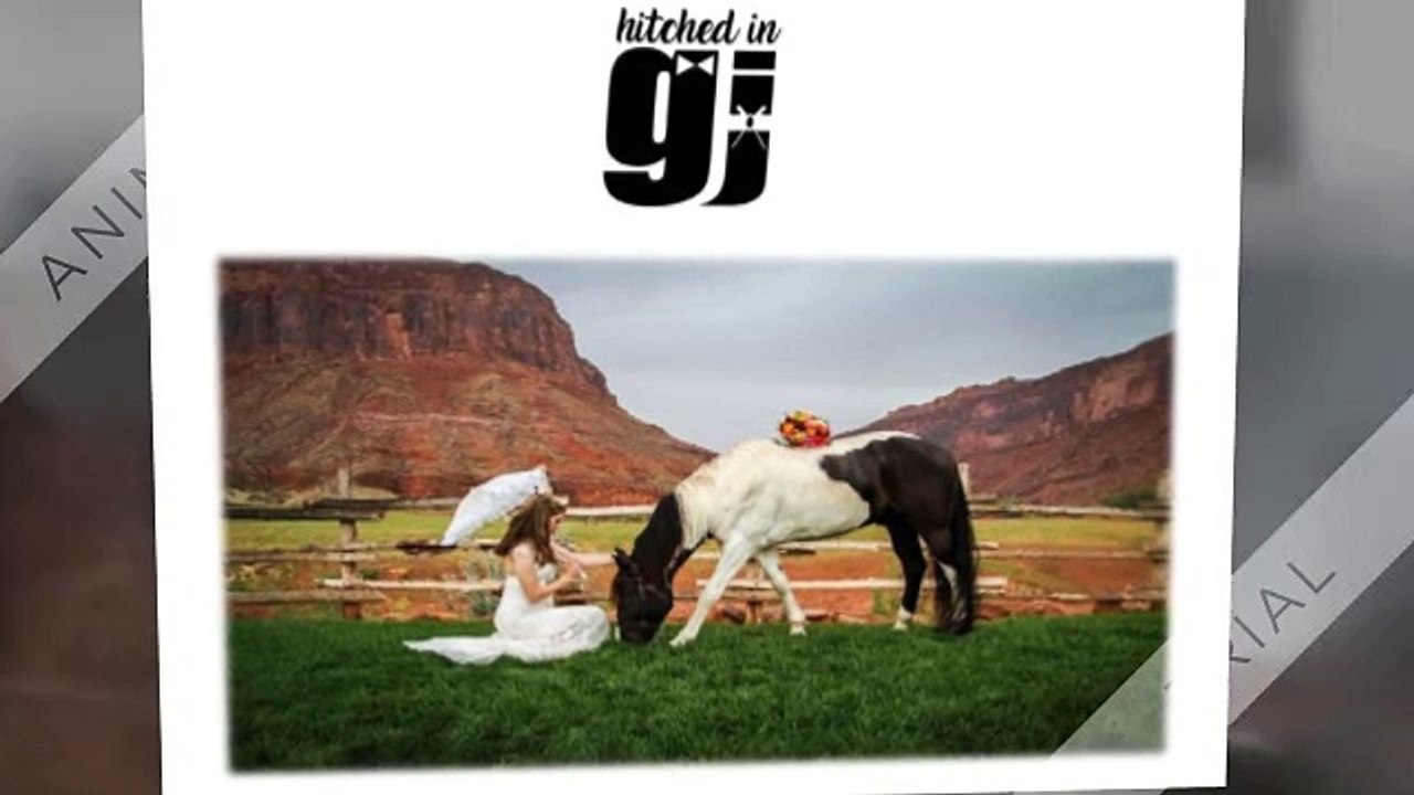 Western Slope Wedding