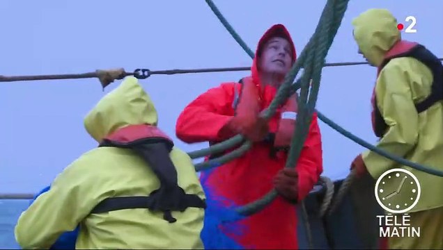 Écologie : l'Assemblée nationale vote l'interdiction de la pêche électrique en France