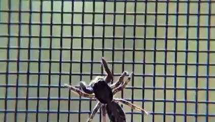 카지노사이트추천 바로가기 ▶  yong79。com 엠카지노 けづ현대기아차가