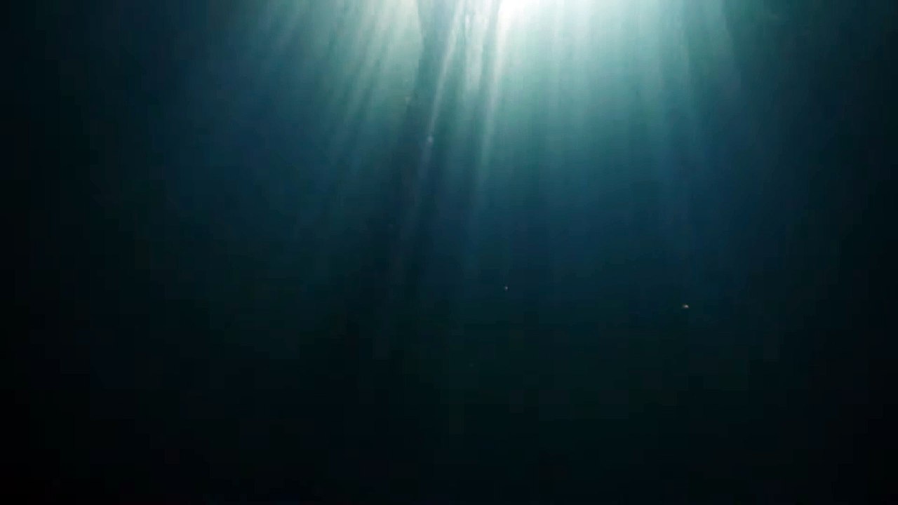 L'Immortale Film