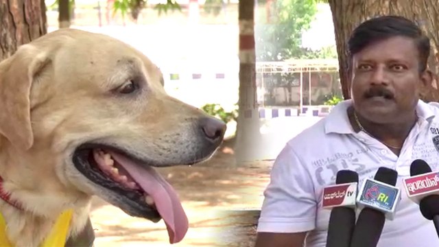 Mysuru: ಮೈಸೂರು ಪೊಲೀಸ್ ಇಲಾಖೆಯ ಶ್ವಾನ ಗಜ ಅತ್ಯಂತ ಬುದ್ದಿವಂತ ಶ್ವಾನ | Oneindia Kannada