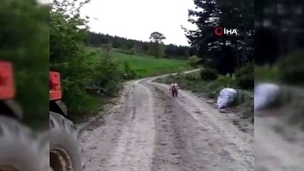 Kayıp Ecrin'den geriye bu görüntüler kaldı