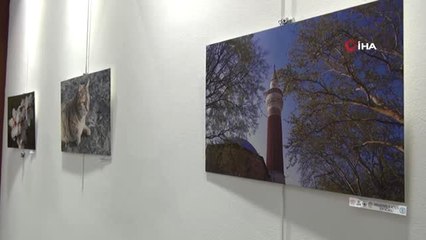 Özel Çocuklardan Kimsesiz Çocuklara Anlamlı Destek