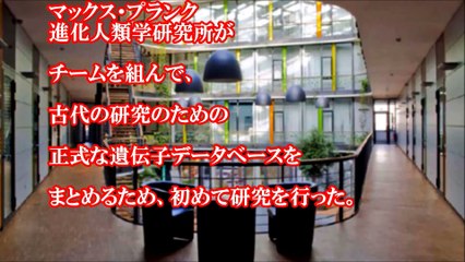 DNA分析から判明した古代エジプト人の起源