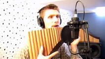 You raise me up - Panflöte - David Döring  Pan flute  Flauta de Pan  Panpipe