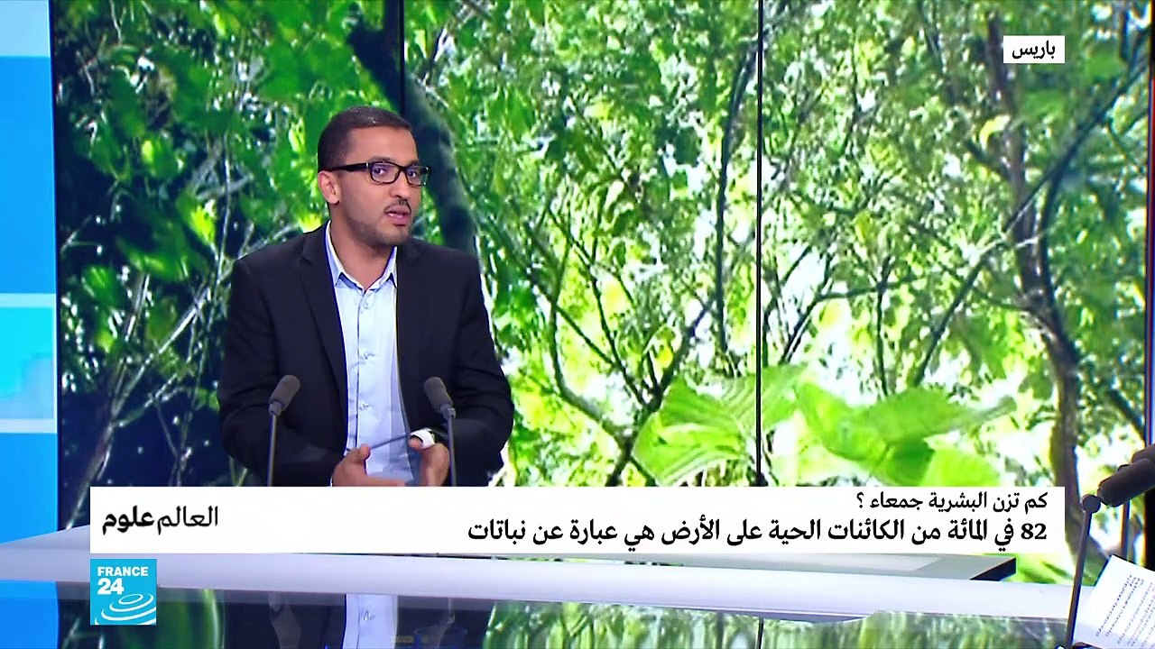 مثقال ريشة.. كم تزن البشرية جمعاء على هذه الأرض؟