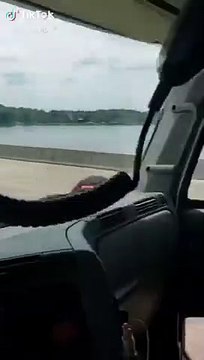 Ce chien dort les pattes en l'air dans un lit avec son maître !