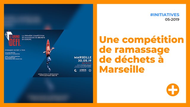 Une compétition de ramassage de déchets à Marseille