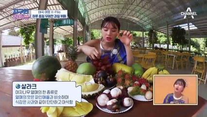 태국에서 가-장 큰 과일 농장에서 하루 종일 먹을 수 있는 [과일 뷔페] (feat. 태국 이색 여행 명소)